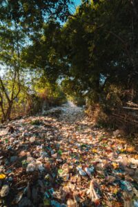 A complete explanation of how plastic bags harm the human body.