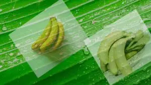 What are the benefits of eating bananas for our body?