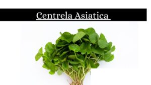 centella asiatica