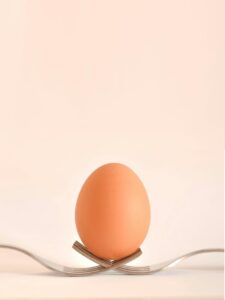 egg

