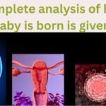 A complete analysis of how a baby is born is given.