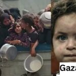 What is the humanitarian crisis in Gaza in July 2025 and the ceasefire talks?
