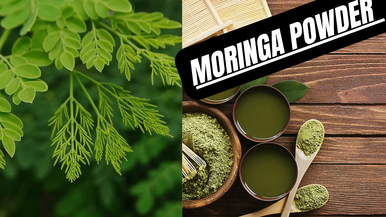 Sajan leaf powder for diabetes: Nature's gift to naturally control blood sugar.