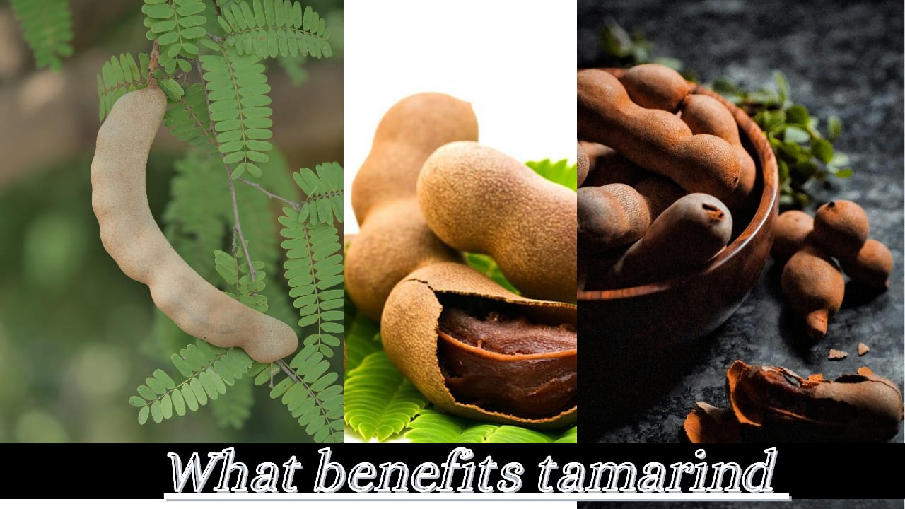 Tamarind