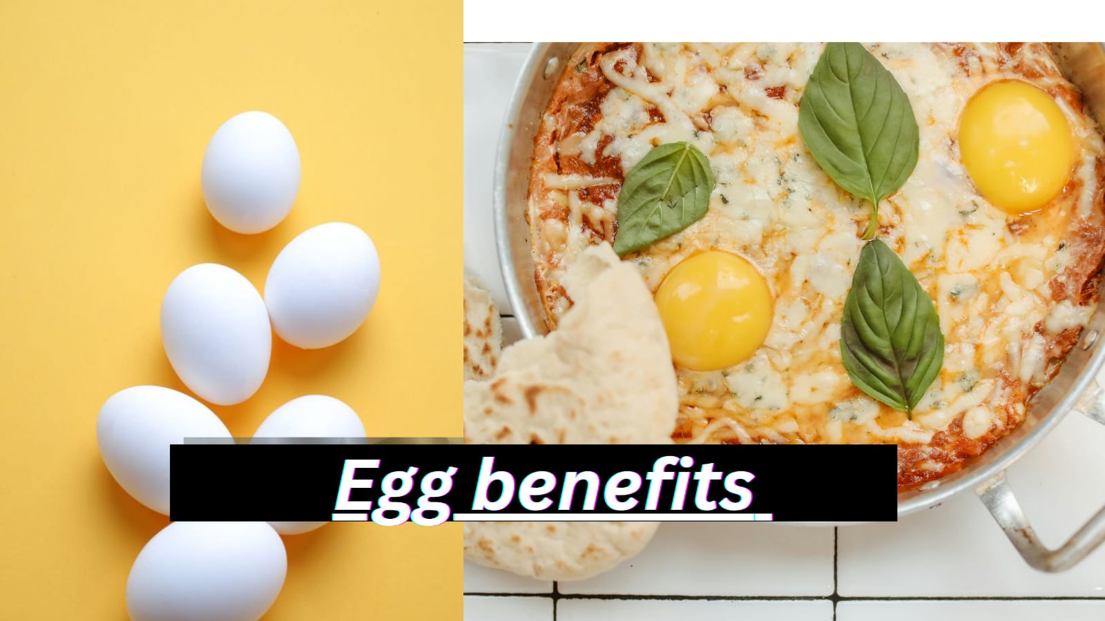 egg