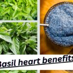 Ingredients and nutritional profile of whole basil for better health.