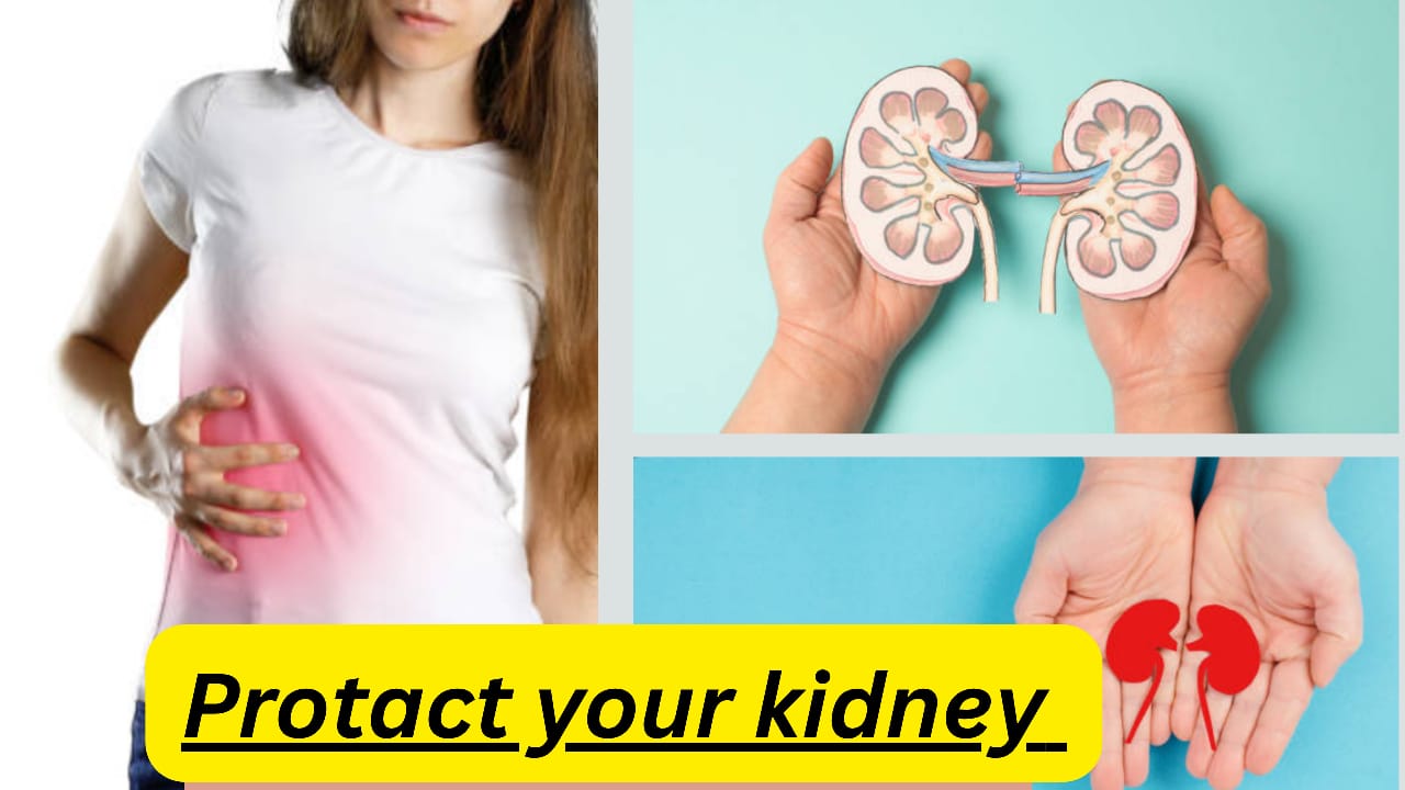 kidney